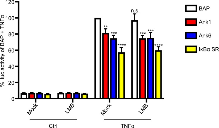 Fig 12