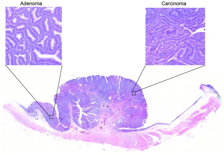 Figure 1.