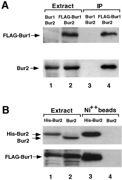 FIG. 5