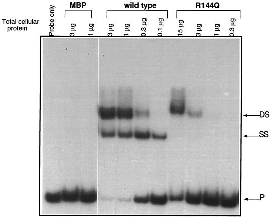 FIG. 6