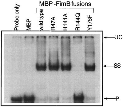 FIG. 8