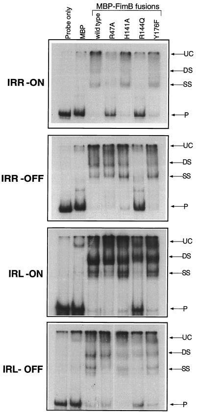 FIG. 5