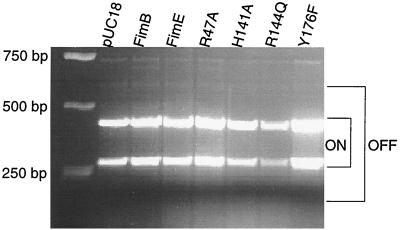 FIG. 7