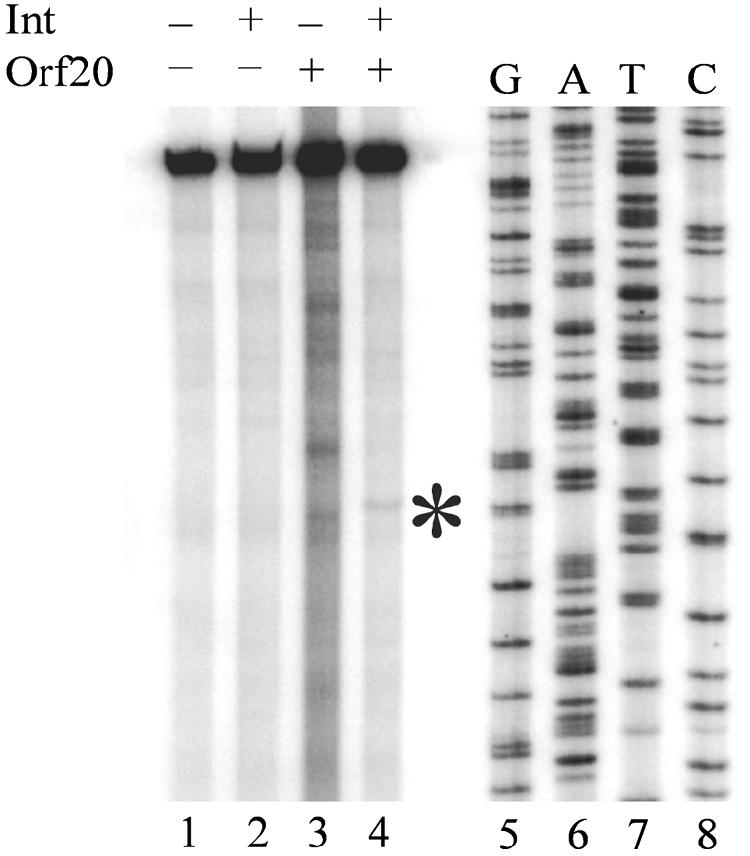 FIG. 4.