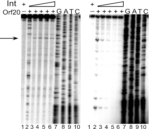 FIG. 3.