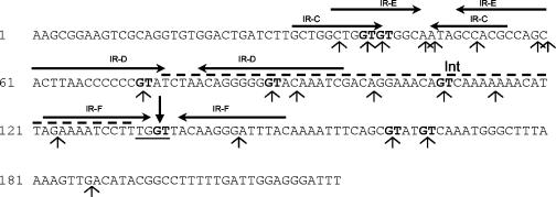 FIG. 2.