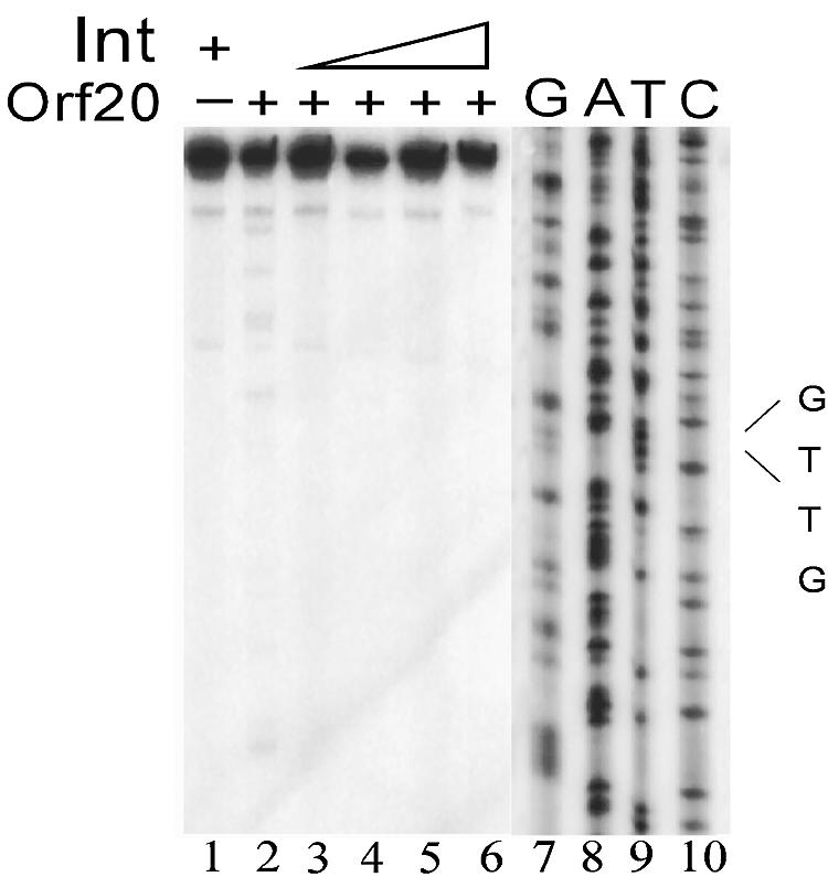 FIG. 5.