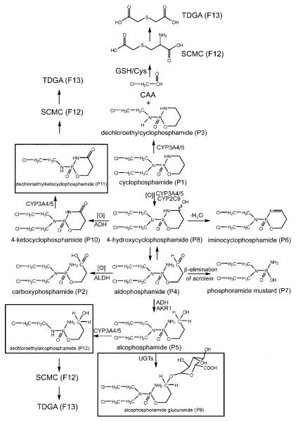 Fig. 8