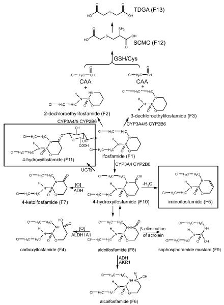 Fig. 7