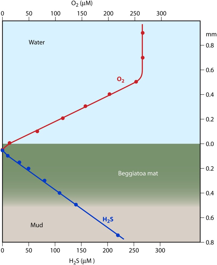 Fig 5