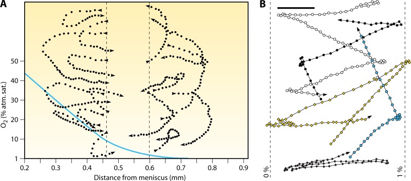 Fig 10