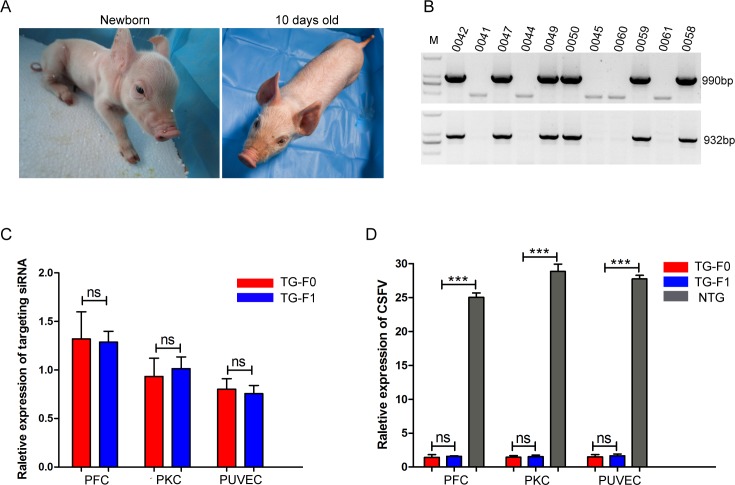 Fig 4