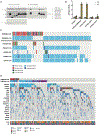 Extended Data Fig. 3 |