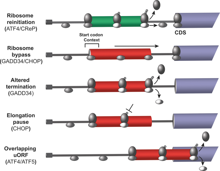 FIG. 4.