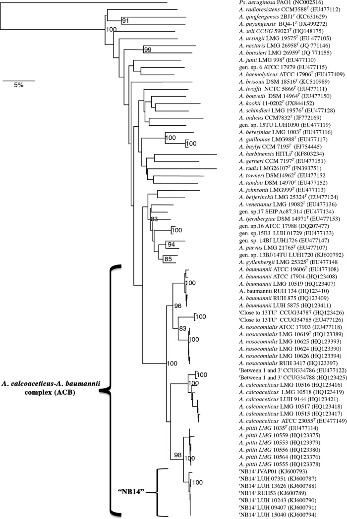 FIG 1