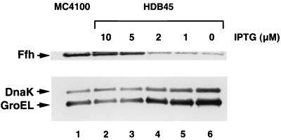 FIG. 1