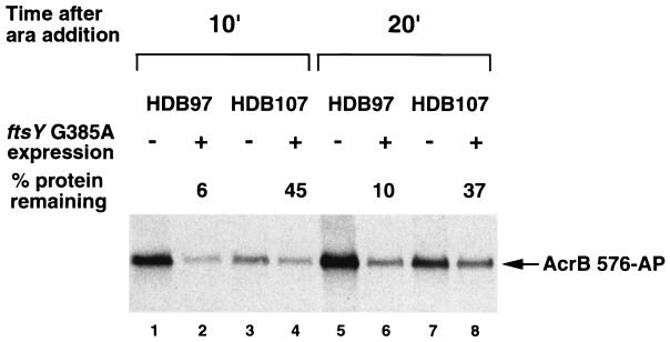 FIG. 7