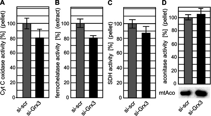 FIGURE 6: