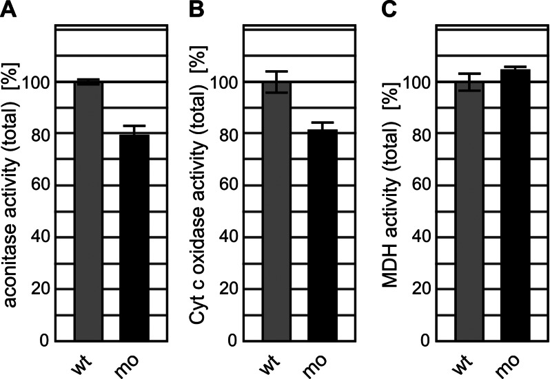 FIGURE 3: