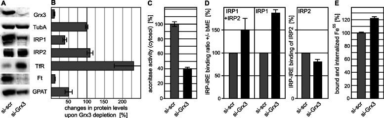 FIGURE 4: