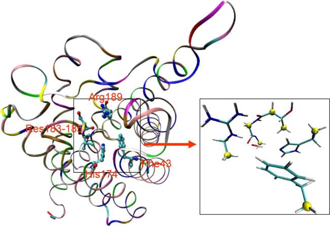 Fig. 11