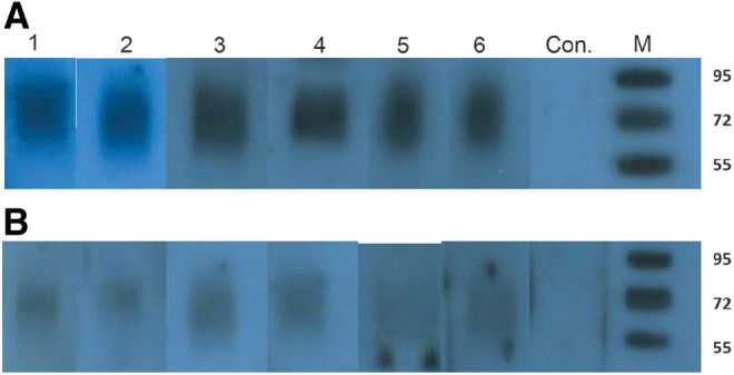 FIG. 3.