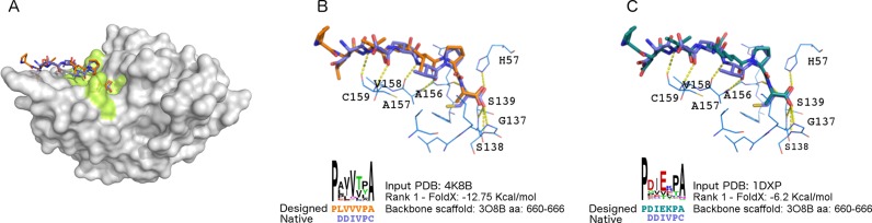 Figure 3.