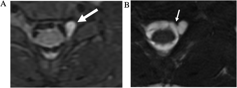 Fig. 5