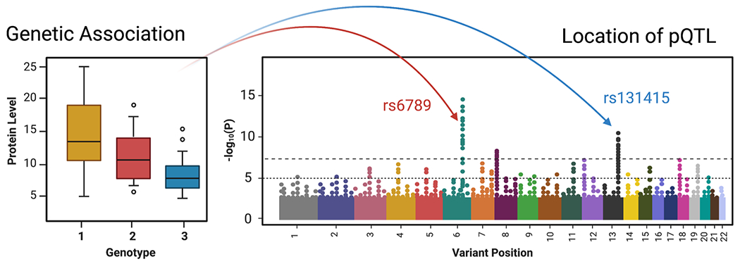 Figure 5: