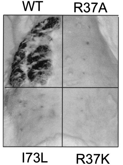 FIG. 5.