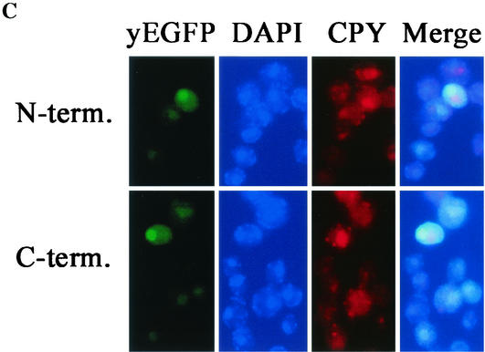 FIG. 6.