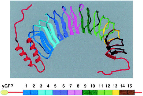 FIG. 1.