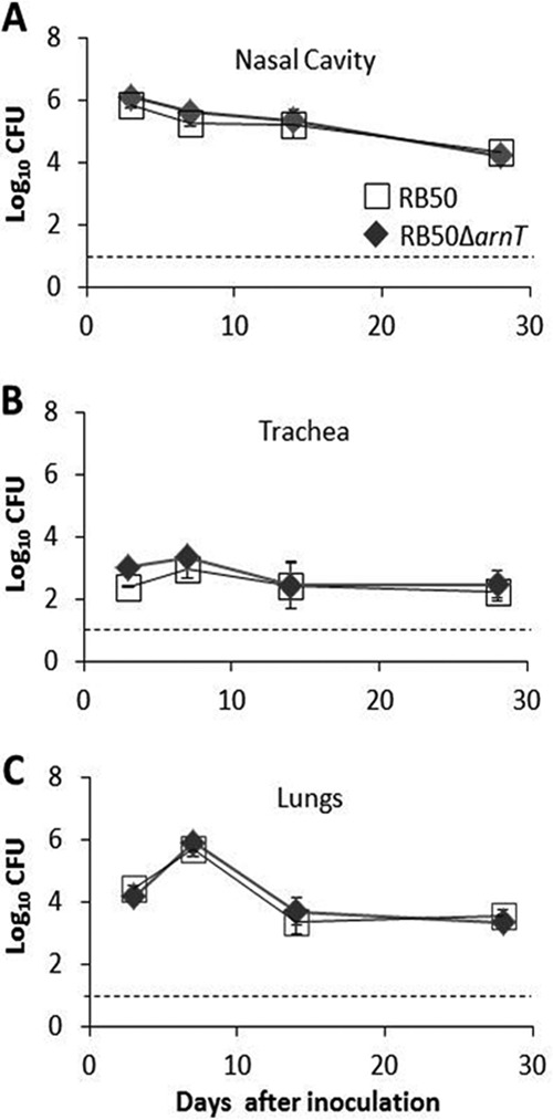 FIG 4