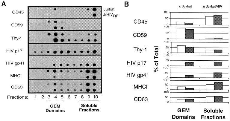 FIG. 6