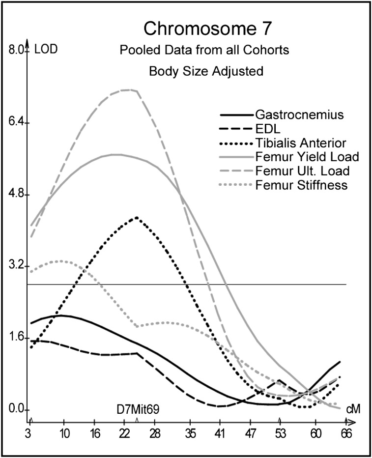 FIG. 3