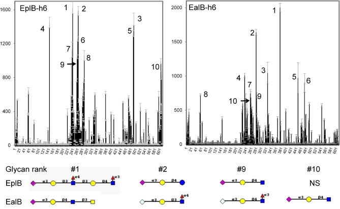 Figure 10.