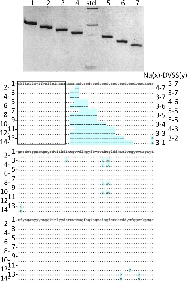 Figure 5.