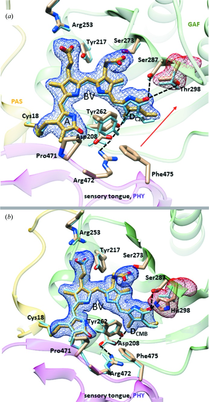 Figure 6