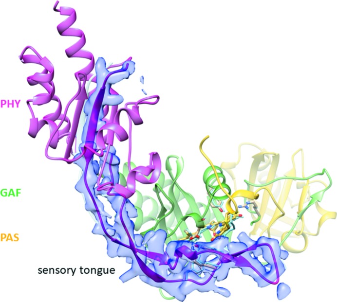 Figure 12