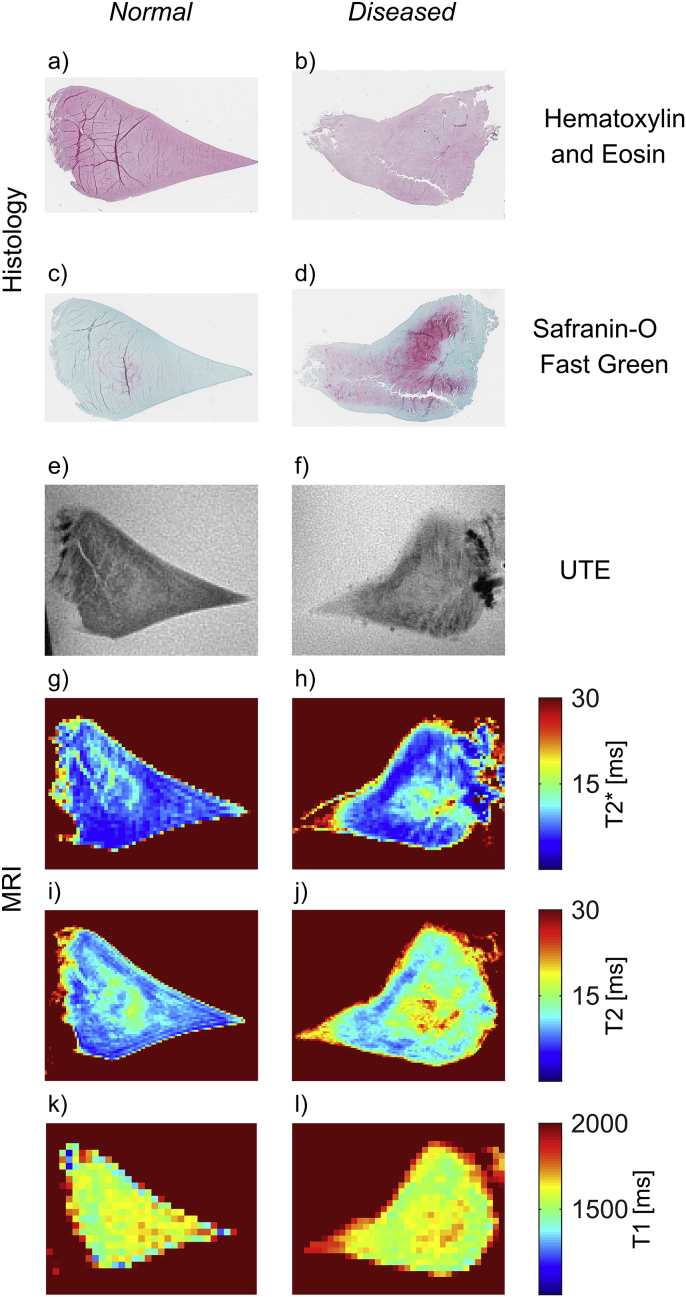 Fig. 2