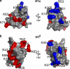 FIGURE 3.