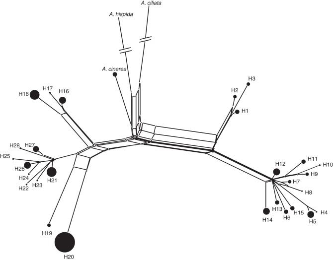 Fig. 2.