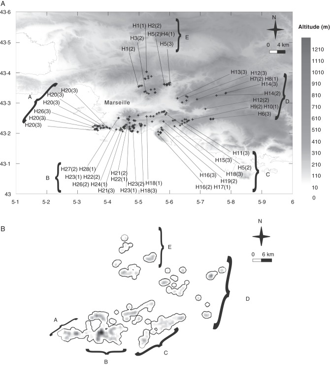 Fig. 1.