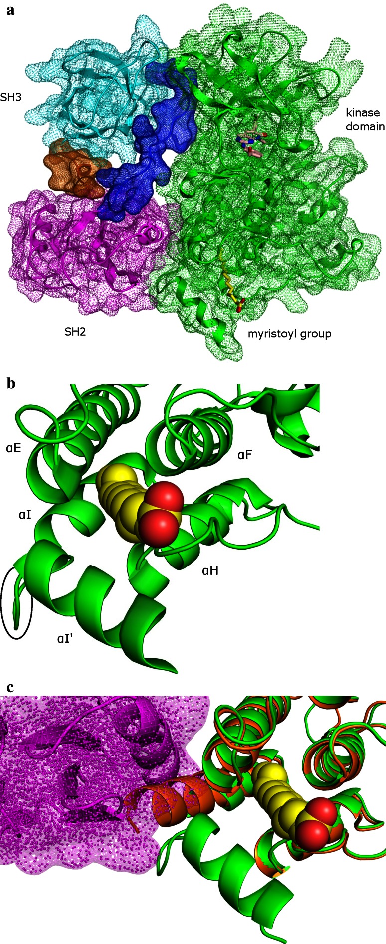 Fig. 1