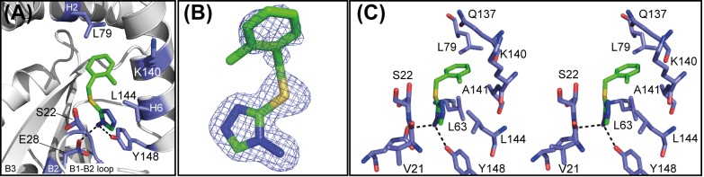 Fig 7