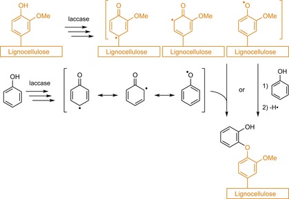 Scheme 4