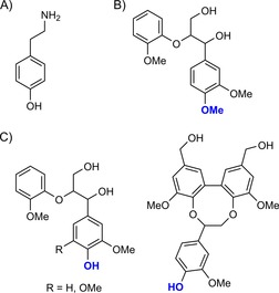 Scheme 5