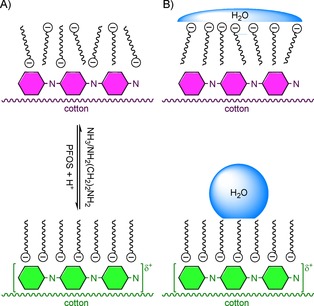 Scheme 20