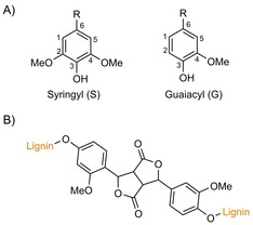 Scheme 8