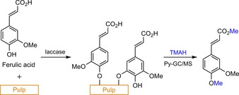 Scheme 9